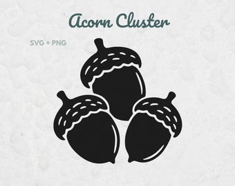 Acorn Cluster SVG, Fall Nature Cut File, Fall Decor, Acorn PNG