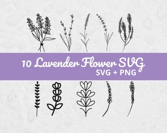 Peut inclure: Dessins au trait en noir et blanc de fleurs de lavande. L'image comprend le texte "10 Lavender Flower SVG SVG + PNG" sur une bannière violette. Le fond est une surface grise claire et texturée.
