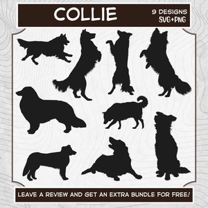 Collie Svg, Svg files for Cricut, Collie PNG, Dog SVG, Collie Silhouette, Dog Clipart, Collie Clipart, Border Collie Svg, Collie Cut File