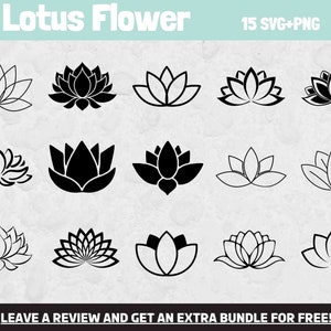 Lotus SVG Png, file SVG per Cricut, clipart di fiori, fiori SVG, fiore svg, clipart di loto, estate svg, primavera Svg, fiore di loto Svg