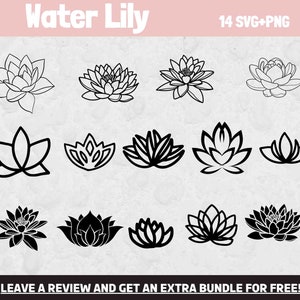 Nenúfar SVG, arquivos SVG para Cricut, clipart de flores, flores SVG, flor svg, clipart de nenúfar, verão svg, arquivo de corte de flores, planta aquática