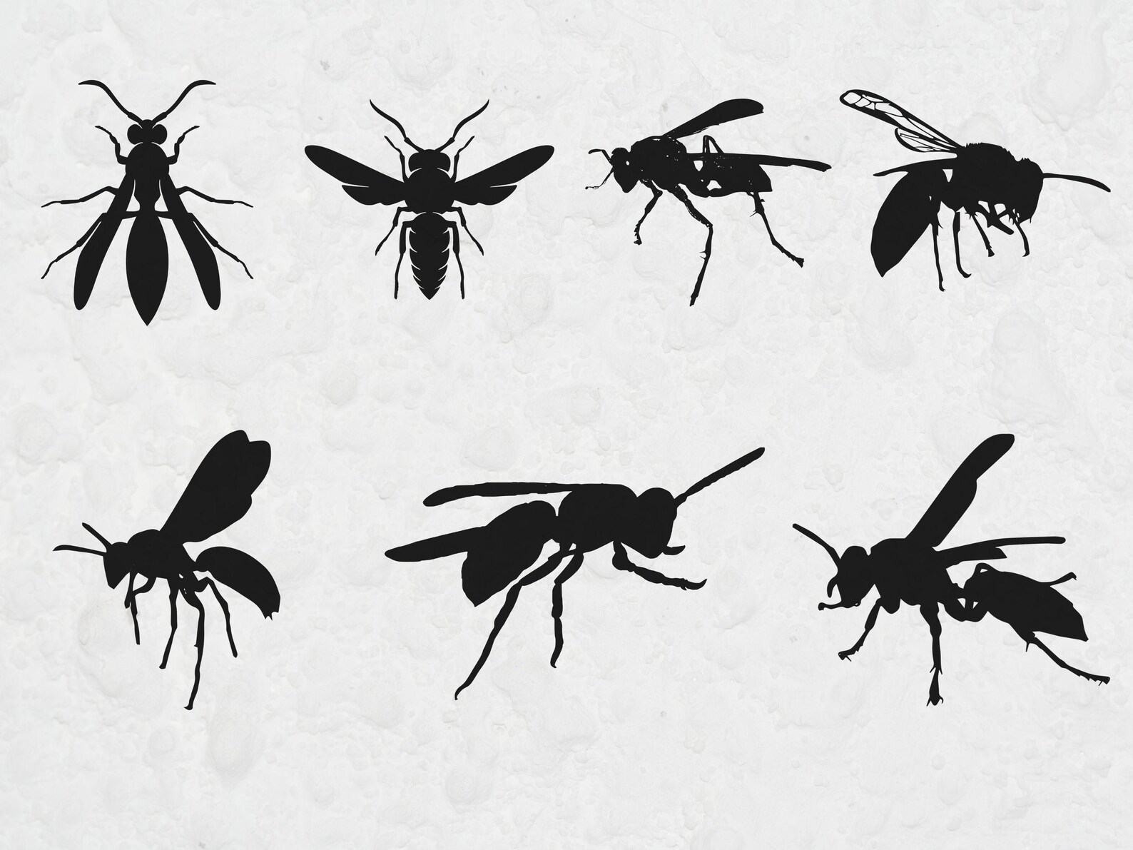 Wasp SVG Bundle, Wasp Silhouette SVG, Insect SVG for Cricut, Wasp ...