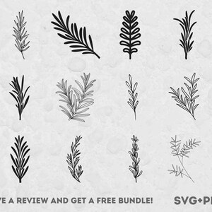 Rosemary SVG, Pliki SVG dla Cricut, Herb SVG, Herbs SVG, Rosemary Clipart, Garden SVG, Miłośnik roślin, Roślina kuchenna, Plik do cięcia ziół, Heart Png