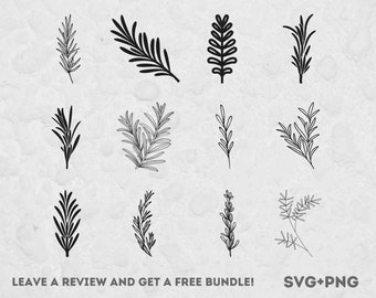 Rosemary SVG, SVG Files for Cricut, Herb SVG, Herbs Svg, Rosemary Clipart, Garden Svg, Plant Lover, Kitchen Plant, Herb Cut File, Heart Png