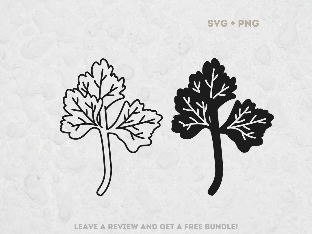Parsley SVG File, SVG Files for Cricut, Plant Svg, Herb SVG, Parsley