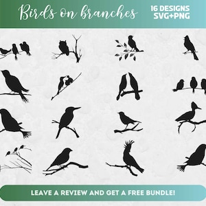 Pássaros Svg, arquivos Svg para Cricut, pacote SVG de pássaros em galhos, clipart de pássaros, silhueta de pássaros, SVG de pássaros, observador de pássaros, arquivo de corte de pássaros