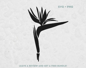 Strelitzia SVG, Svg file for Cricut, Flower Cut File, Silhouette Svg, Flower Design, Plant Clipart, South African Plant, Bird of paradise