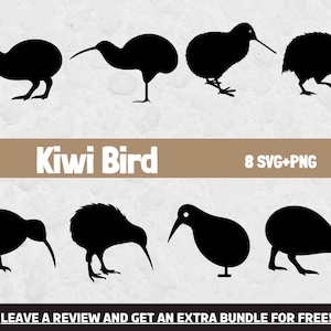 Kiwi Bird Svg bundel, Svg-bestanden voor Cricut, tropische vogel Svg, Bird Clipart, Kiwi Silhouette, Bird Watcher, Kiwi Bird Clipart, Australië SVG