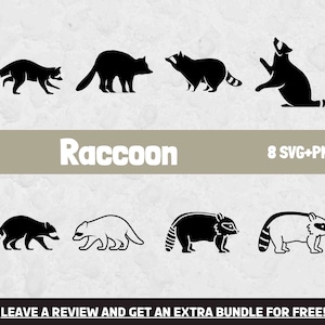 Raton laveur SVG, Fichiers SVG pour Cricut, Zoo SVG, Nature SVG, Mammifère, Raton laveur Clipart, Animal SVG, Animal sauvage SVG, Raton laveur coupé fichier, Animal PNG