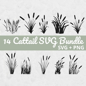 Cattail SVG bundle, Reed svg, Boho grass svg, SVG files for Cricut, minimalist floral cut file, nature clipart, PNG svg