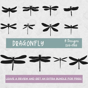 Dragonfly Svg Bundle, Svg Files for Cricut, Dragonfly Clipart, Insect Svg, Dragonfly Cut Files, Insect Clipart, Summer SVG, Dragonfly PNG