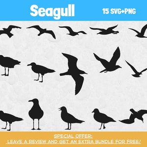 Pacchetto Svg gabbiano, file SVG per Cricut, Clipart uccello, uccello Svg, file di taglio gabbiano, clipart gabbiano, SVG nautico, vettore uccello, gabbiano PNG
