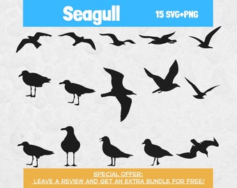 Seagull Svg Bundle, SVG Files for Cricut, Bird Clipart, Bird Svg, Seagull Cut File, Seagull Clipart, Nautical SVG, Bird Vector, Seagull PNG