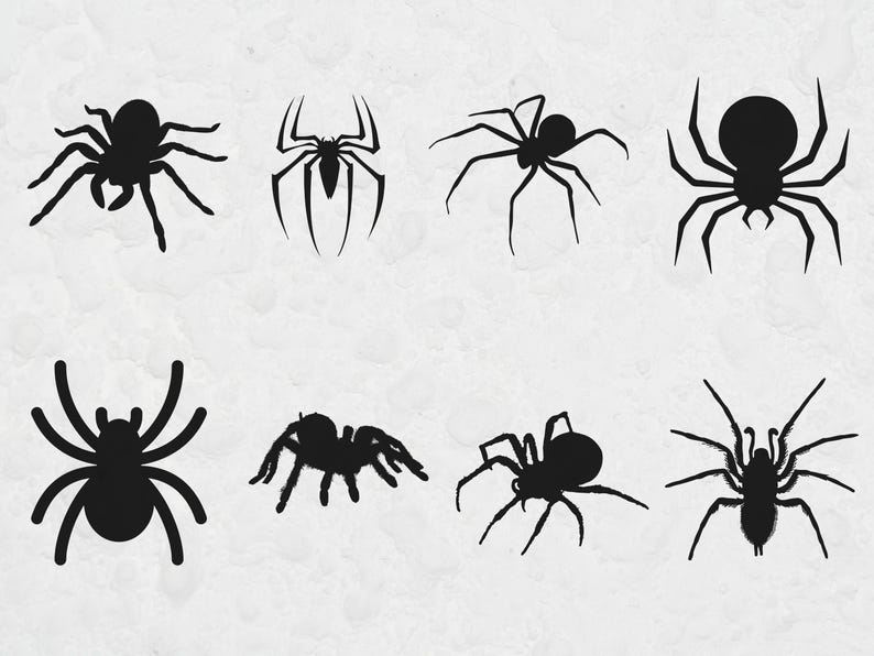Peut inclure: Huit silhouettes noires de diff&eacute;rentes araign&eacute;es sur un fond gris clair textur&eacute;. Les araign&eacute;es pr&eacute;sentent des formes vari&eacute;es, certaines plus r&eacute;alistes, d'autres stylis&eacute;es. L'image pr&eacute;sente diverses poses d'araign&eacute;es.