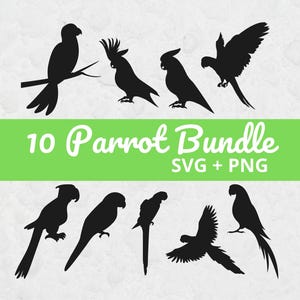 Parrot Svg Bundle, SVG Files for Cricut, Tropical Bird, Parrot Clipart, Tropical Svg, Parrot Silhouettes, Parrot Cut Files, Parrot Vectors