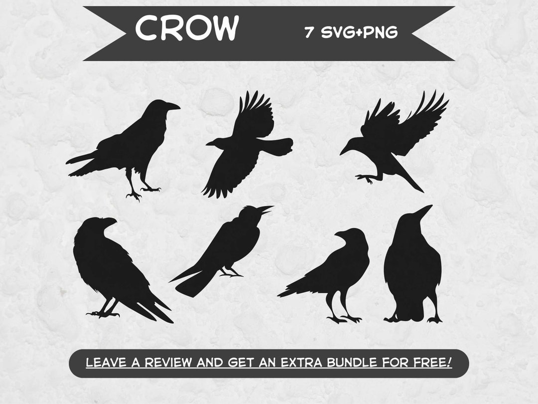 Crow Svg Bundle, SVG Files for Cricut, Raven SVG, Crow Clipart, Crow