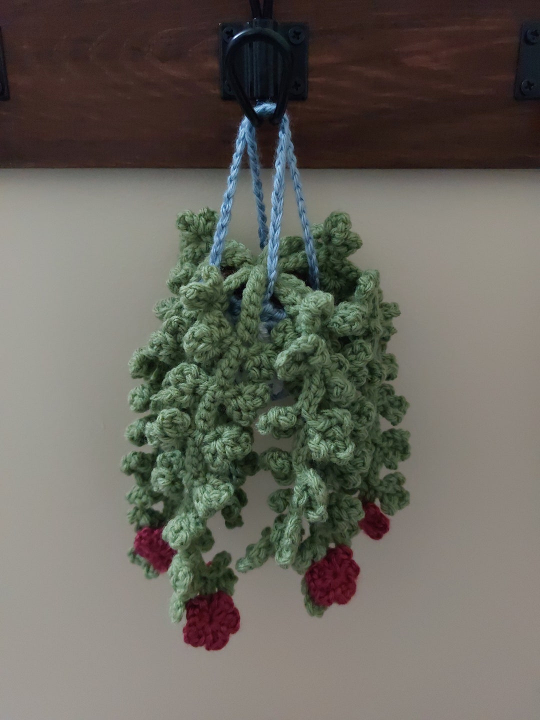Crochet Hanging Plants Etsy