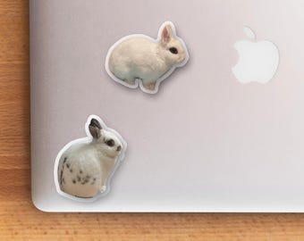 Cute white dwarf hotot new Zealand rabbit bunny stickers