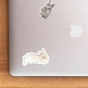 Peering Cute Head Tilt Lionhead Bunny Decal; Rabbit Car Sticker ...