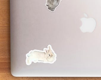 Lionhead Bunny Sticker: Cute Fluffy Rabbit Decal