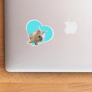 Peering Cute Head Tilt Lionhead Bunny Decal; Rabbit Car Sticker ...