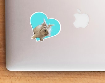 Lionhead Bunny Heart Sticker, Cute Rabbit Decal