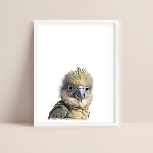 Parrot Art - Baby Parrot Nursery Print - Baby Animal Print - Parrot Watercolor Art - Parrot  Wall Art - Jungle Animal Nursery - Digital