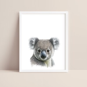Koala Bear Art - Baby Koala Nursery Print - Koala Art Print - Koala  Watercolor Art - Koala Bear Wall Art - Koala Nursery - Digital Art