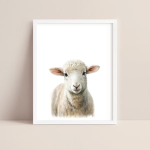 Sheep Art - Baby Sheep Nursery Print - Baby Animal Print - Sheep Watercolor Art - Sheep Wall Art - Farm Animal Nursery - Digital