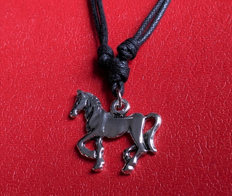 Anhänger mit Kette Pferde Pferd Kette Western Pony Reit Sport Edelstahl Glücksbringer Schutz Amulett Unisex Kinder Damen Herren Bild 2