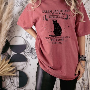 Może przedstawiać: Oversizowy t-shirt w kolorze bordowym z czarnym nadrukiem graficznym, na kt&oacute;rym widnieje napis "Salem Sanctuary for Wayward Cats" z czarną sylwetką kota i gwiazdami. Tekst pod kotem brzmi "Ferals and Familiars Welcome Est 1692".