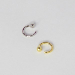 Mini Ball Cartilage Hoop