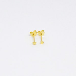 Teeny Tiny Star Studs