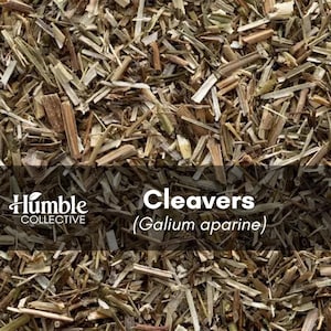 May include: A collection of dried, chopped brown and green plant stems and leaves. The text Humble Collective Cleavers (Galium aparine) is overlaid in white on a dark horizontal band across the center of the image of the botanical material.
