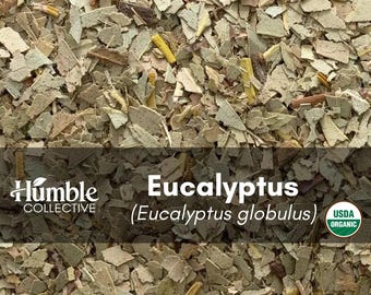 Organic Eucalyptus | Eucalyptus globulus | Cut Bulk Herb | 1 oz or 2 oz