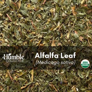 Organic Alfalfa Leaf | Cut & Sifted Bulk Herb | Medicago sativa | Non-Irradiated Kosher Dried Herb | 1 oz or 2 oz