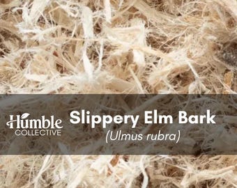 May include: A collection of light beige, fibrous Slippery Elm Bark (Ulmus rubra) pieces. A dark gray horizontal band overlays the center, featuring the white text Humble Collective, Slippery Elm Bark, and (Ulmus rubra) in a clean font.