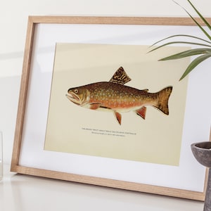 Vintage Trout Print | Fly Fishing Art | Trout Poster | Brook Trout | Digital Download | Instant Art Download | Mountain Home Decor