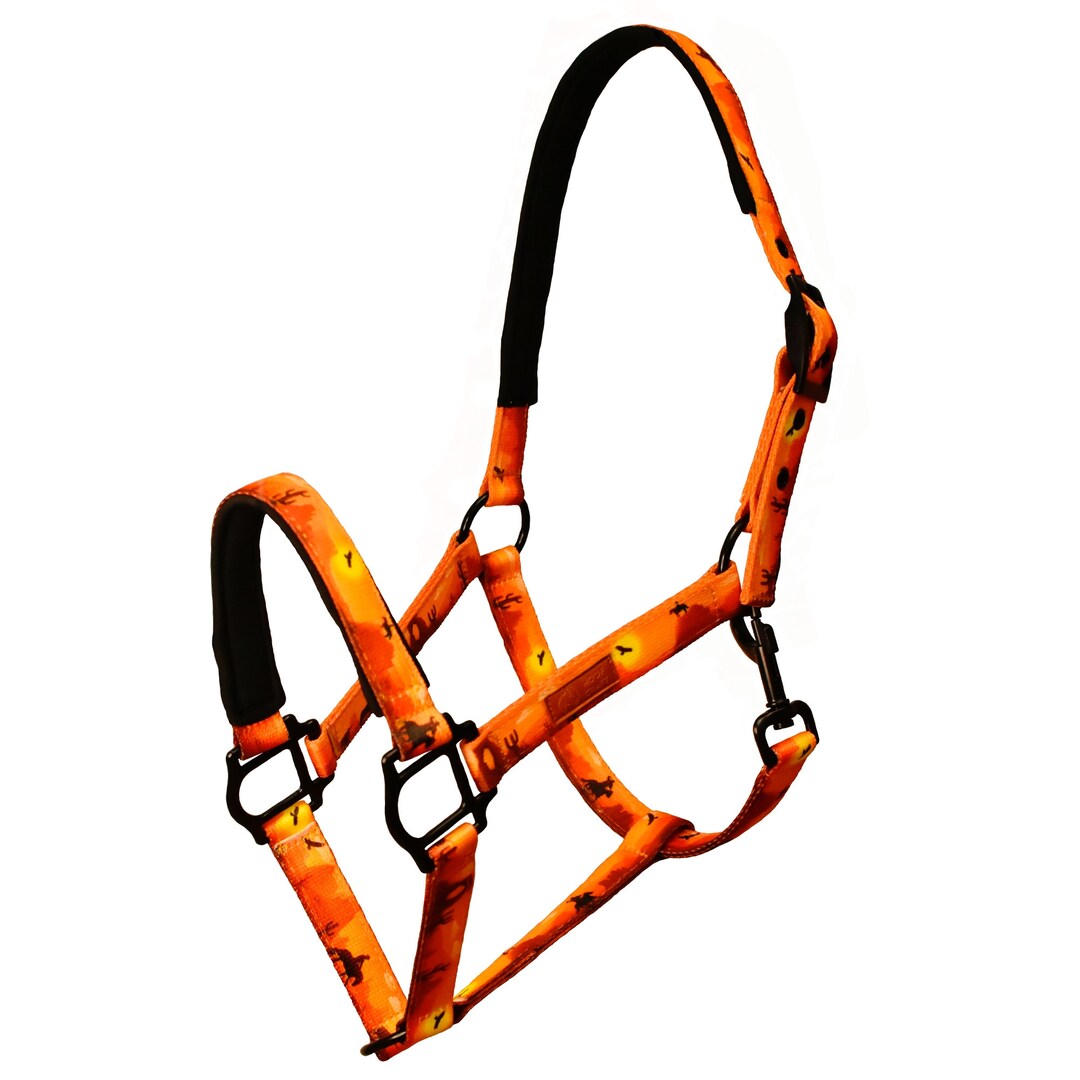 Western Horse Halter / Ranch Horse Tack / Cute Horse Halter Etsy