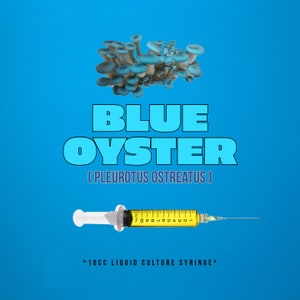 Blue Oyster Mushroom Liquid Culture (10cc/ml)