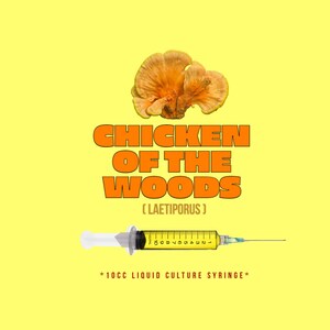 Chicken of the Woods Mushroom Liquid Culture
