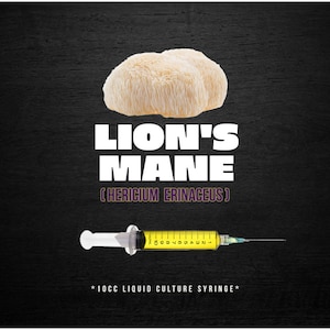 Lion's Mane Mushroom Liquid Culture (10cc/ml)