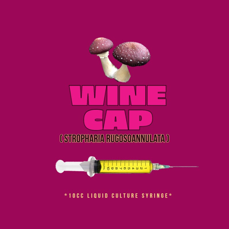 Wine Cap Mushroom Liquid Culture Etsy