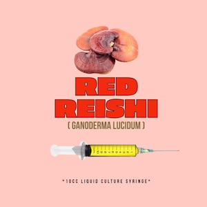 Red Reishi Mushroom Liquid Culture (10ml/cc)