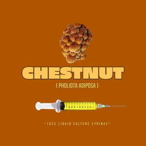 Chestnut Mushroom Liquid Culture (10cc/ml)