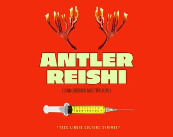 Antler Reishi Mushroom Culture (10ml/cc)