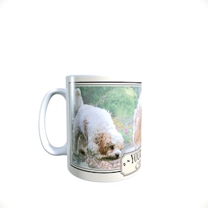 Cavachon Personalised Dog Breed Gift Mug