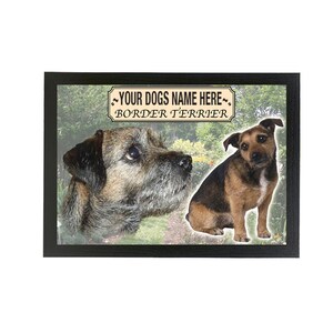 Presente com imagem emoldurada de raça de cachorro personalizada Border Terrier