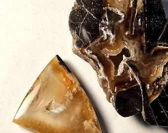 May include: Two polished gemstones. One is a triangular shape with a translucent, light brown color and a small cavity. The other is a dark brown, irregularly shaped stone with white and light brown veining.