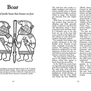 The Little Book of Viking Age Symbols by Jacqui Alberts, J. S. Hopkins, and Mathias Nordvig. Anglo-Saxon, Germanic, pagan, heathen, Norse image 3